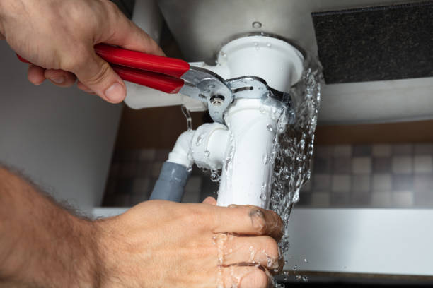 Best Water damage repair service  in Brookdale, SC