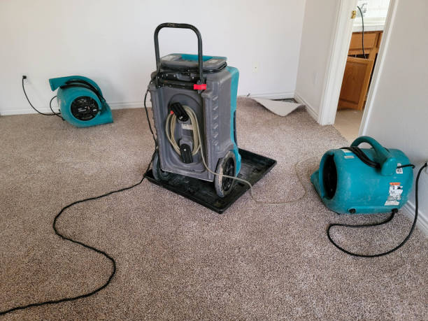 Best Flooded house restoration  in Brookdale, SC