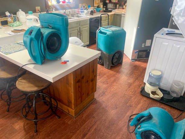 Best Basement water damage restoration  in Brookdale, SC