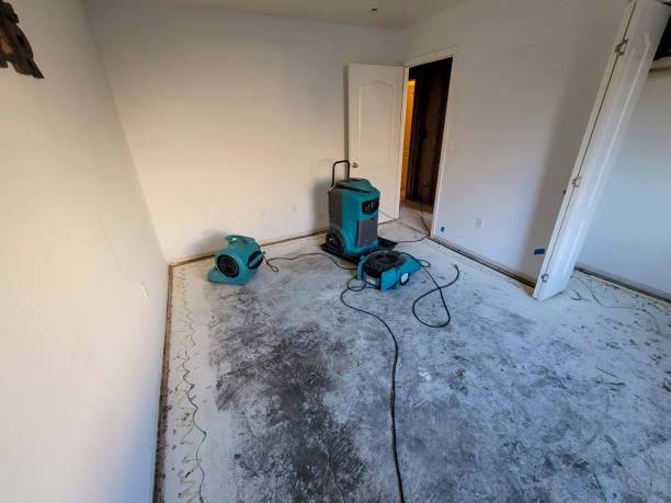 Best Mold removal after water damage  in Brookdale, SC