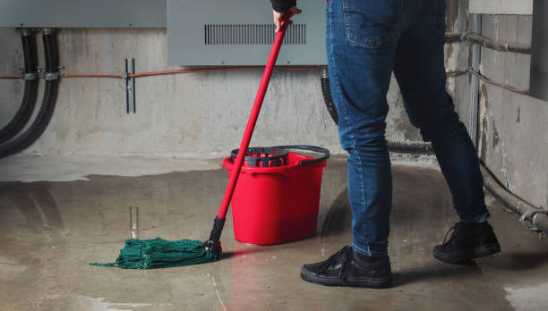 Best Flood damage cleanup  in Brookdale, SC