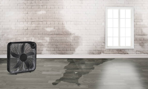 Best Fire Damage Restoration  in Brookdale, SC