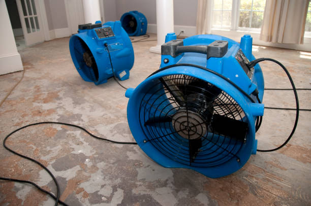 Best Water damage restoration experts  in Brookdale, SC