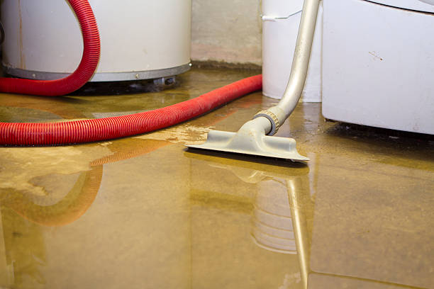 Best Flood restoration services  in Brookdale, SC