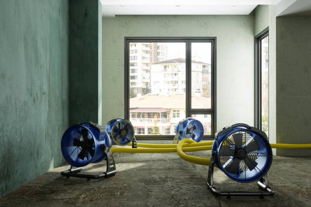 Best Water damage restoration cost  in Brookdale, SC